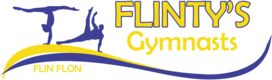 Flinty's Gymnasts